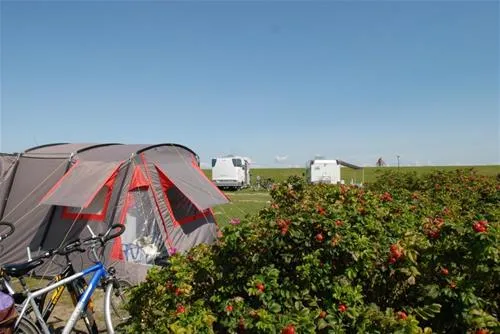 ostsee-campingplatz-hoeck-kronsgaard-cx8ty
