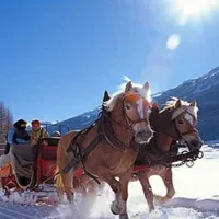 camping-bella-austria-st-peter-am-kammersberg-dvfqy