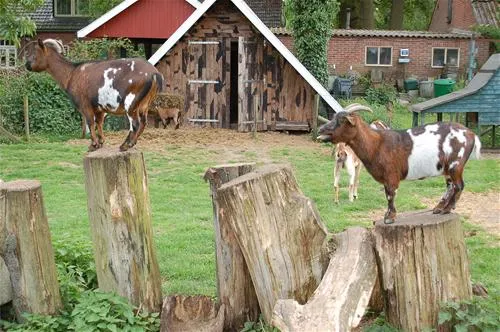 camping-lansbulten-aalten-kgrrc