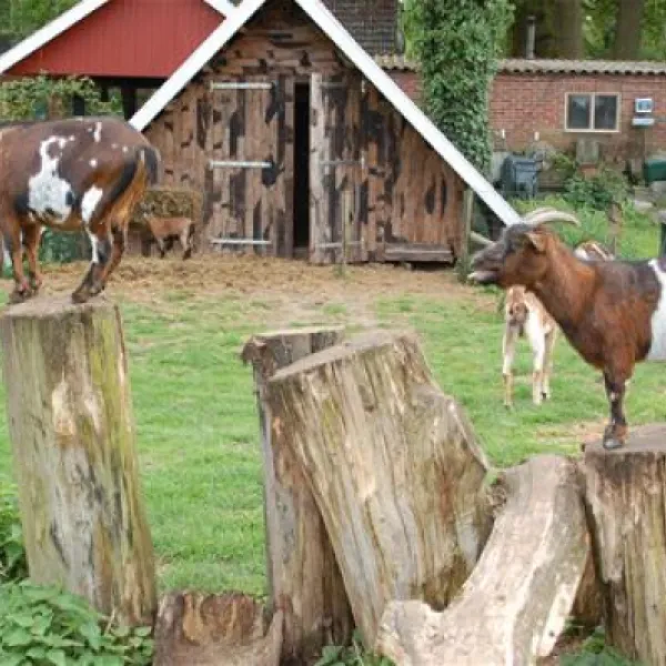 camping-lansbulten-aalten-kgrrc