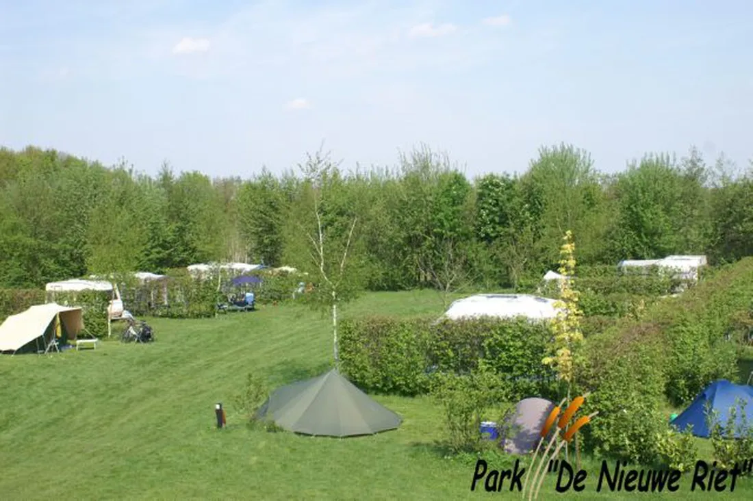 40-camping-park-de-nieuwe-riet-oud-gastel-oudenbosch-1q0wz