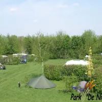 40-camping-park-de-nieuwe-riet-oud-gastel-oudenbosch-1q0wz