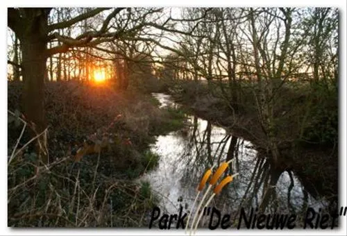40-camping-park-de-nieuwe-riet-oud-gastel-oudenbosch-3n6kz