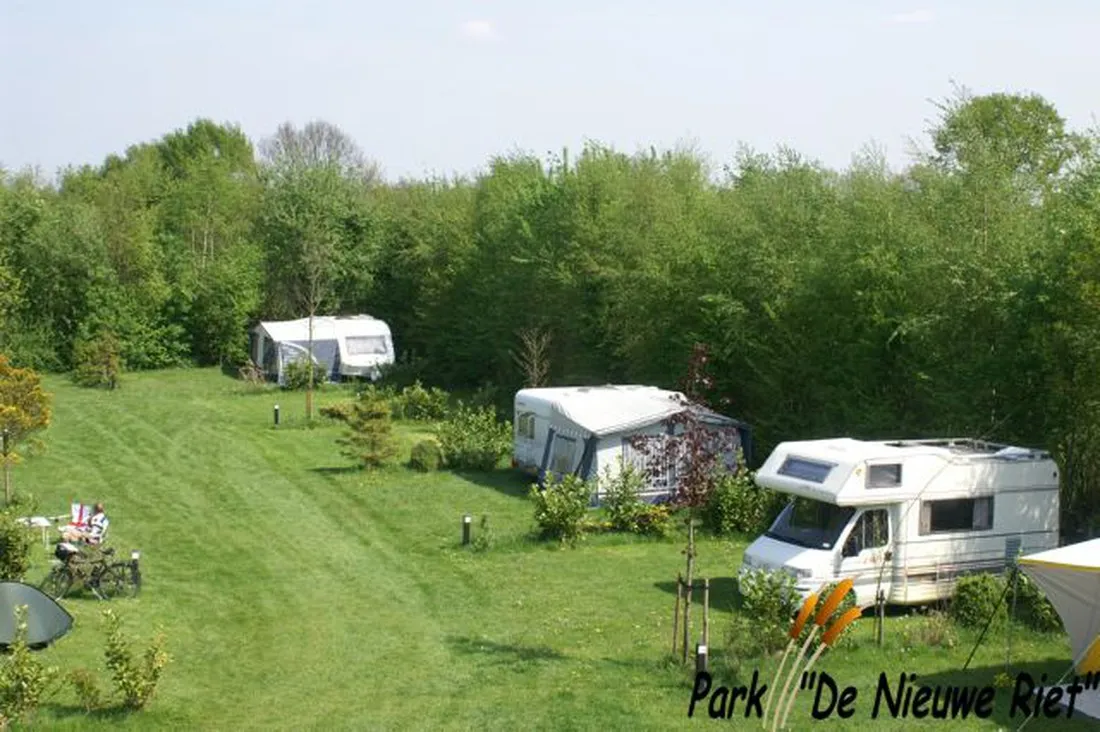 40-camping-park-de-nieuwe-riet-oud-gastel-oudenbosch-3nli3