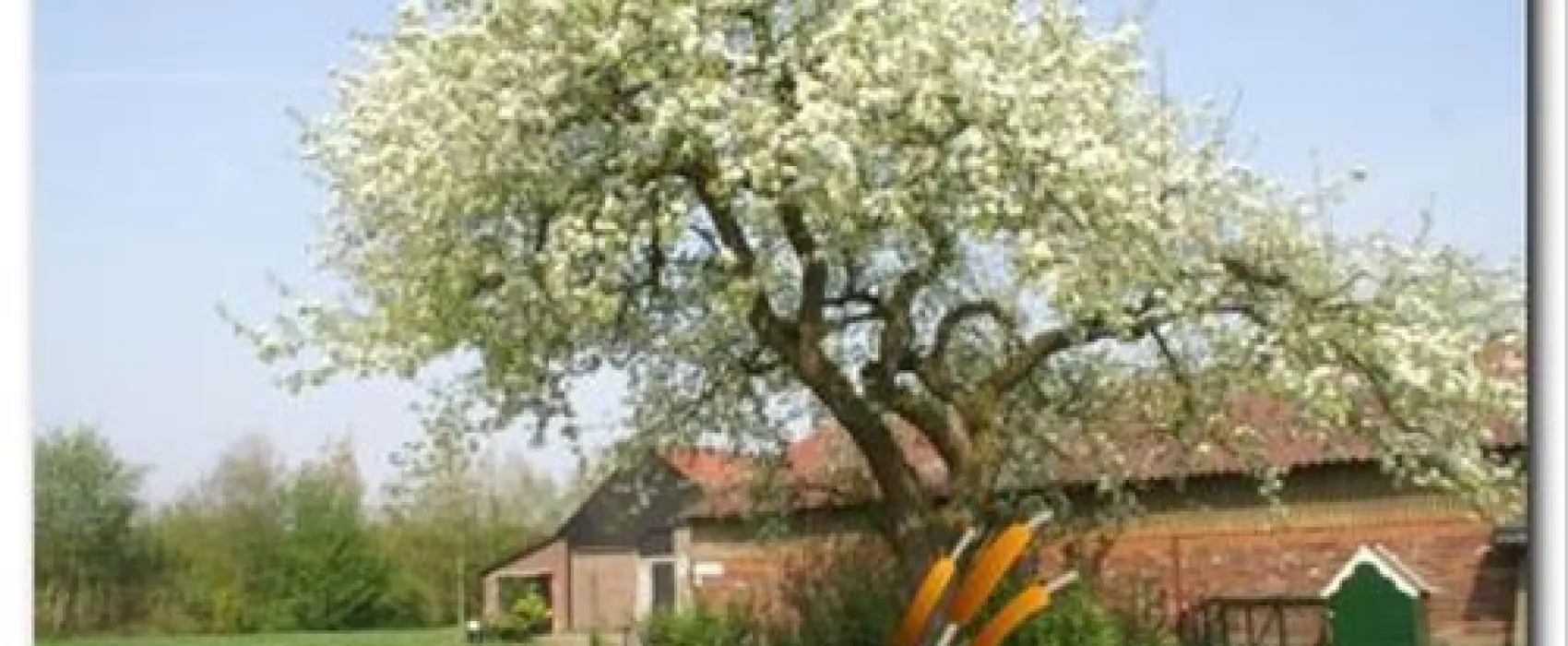 Resort De Nieuwe Riet