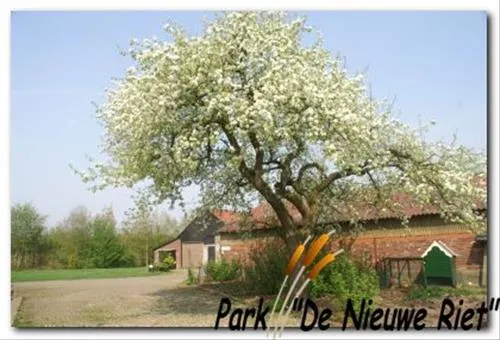 40-camping-park-de-nieuwe-riet-oud-gastel-oudenbosch-hfoqt