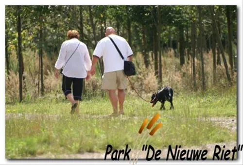 40-camping-park-de-nieuwe-riet-oud-gastel-oudenbosch-hgoip
