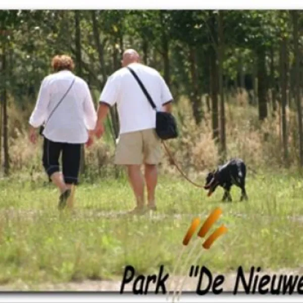 40-camping-park-de-nieuwe-riet-oud-gastel-oudenbosch-hgoip