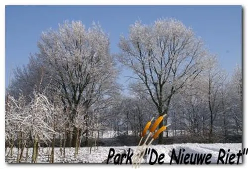 40-camping-park-de-nieuwe-riet-oud-gastel-oudenbosch-txbp7