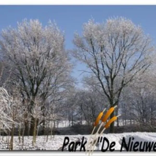 40-camping-park-de-nieuwe-riet-oud-gastel-oudenbosch-txbp7