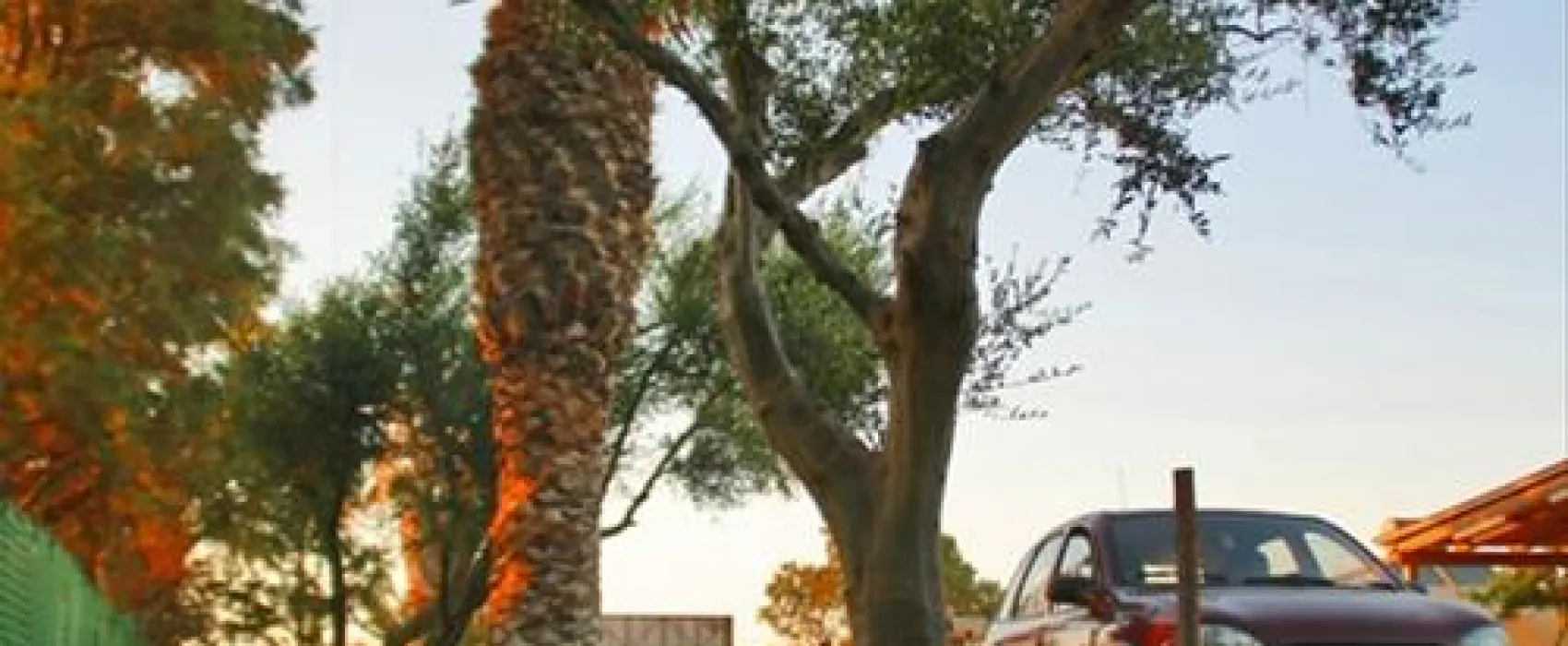 Creta Camping