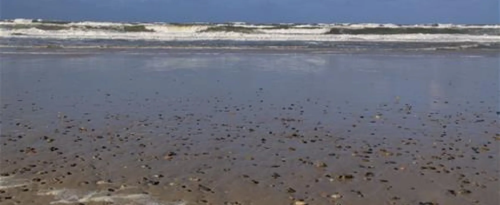 Henne Strand Camping