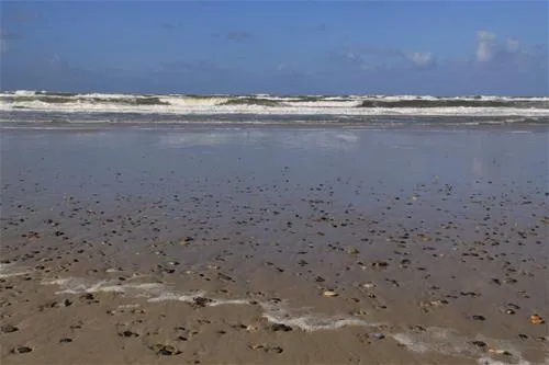 henne-strand-camping-henne-3jtwn
