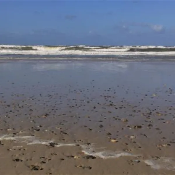 henne-strand-camping-henne-3jtwn