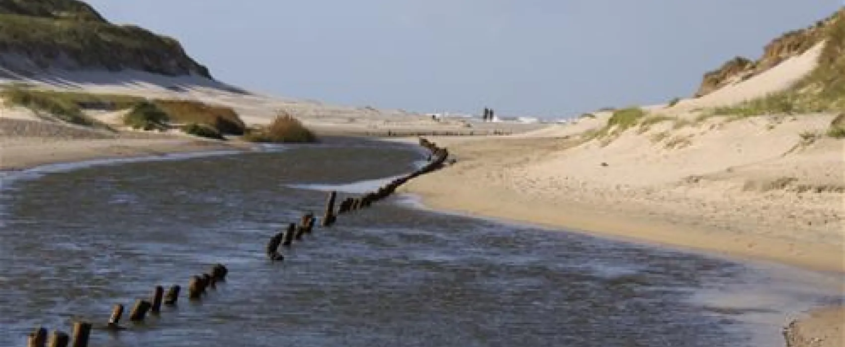 Henne Strand Camping