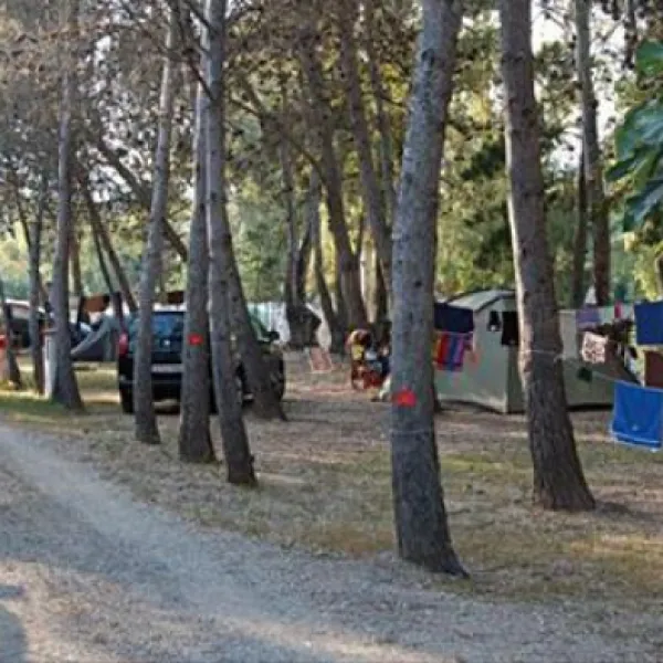 camping-la-pineta-barisardo-c2hyk