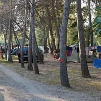 camping-la-pineta-barisardo-c2hyk