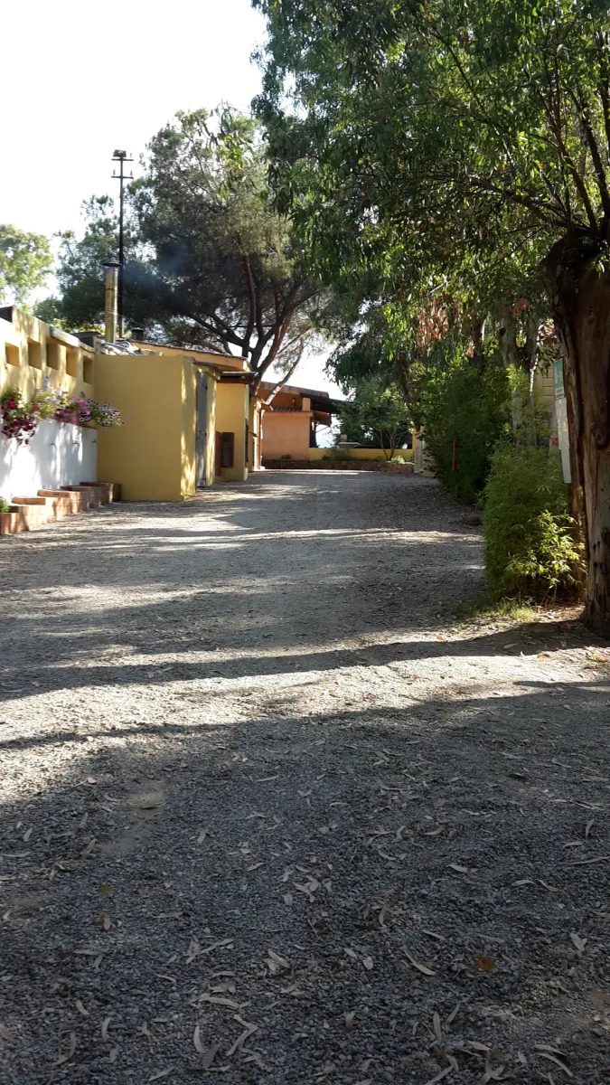 camping-la-pineta-barisardo-nfnyr