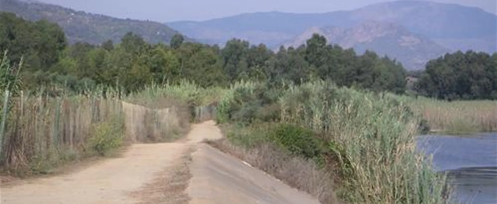 Camping La Pineta