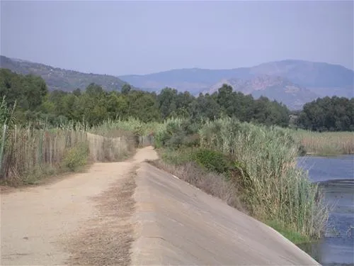 camping-la-pineta-barisardo-tnh5r