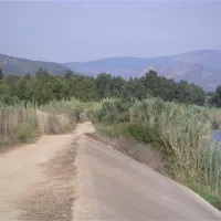 camping-la-pineta-barisardo-tnh5r