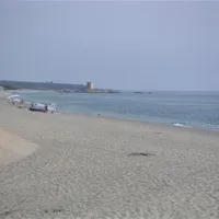 camping-la-pineta-barisardo-ulxsl