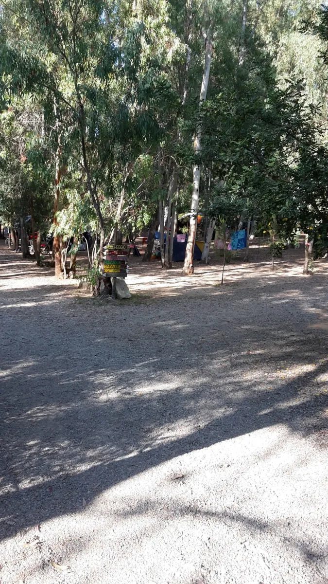 camping-la-pineta-barisardo-wl3mn
