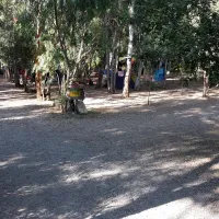 camping-la-pineta-barisardo-wl3mn