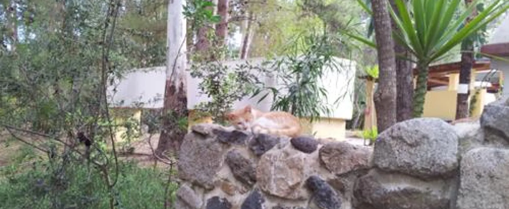 Camping La Pineta