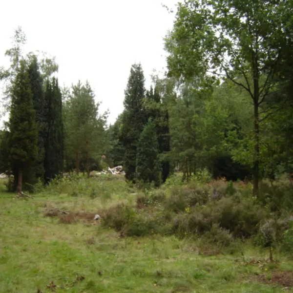 naturistencamping-t-vennebos-langdorp-y6u7a