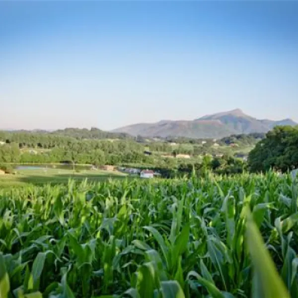 camping-larrouleta-urrugne-7l8h3