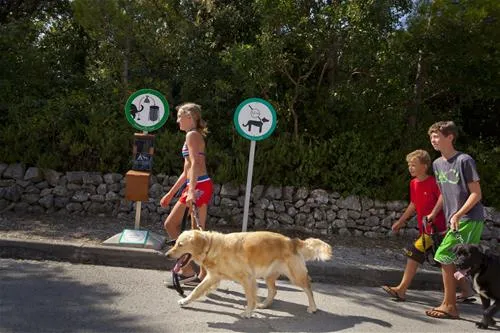 camping-slatina-martinscica-4qgxn