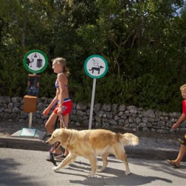 camping-slatina-martinscica-4qgxn