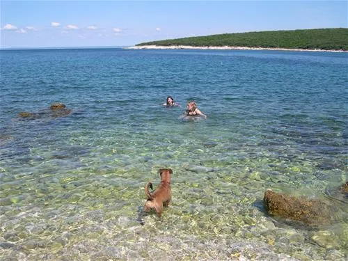 camping-slatina-martinscica-mdu26
