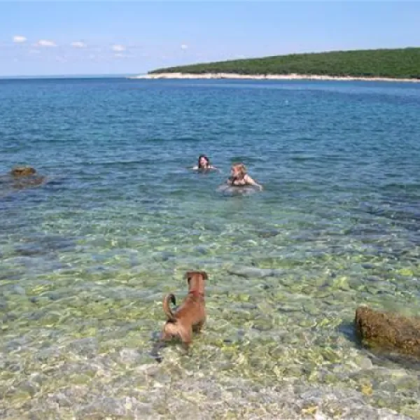 camping-slatina-martinscica-mdu26