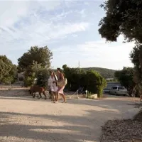 camping-slatina-martinscica-ow5vo
