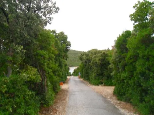 camping-slatina-martinscica-ykxfv