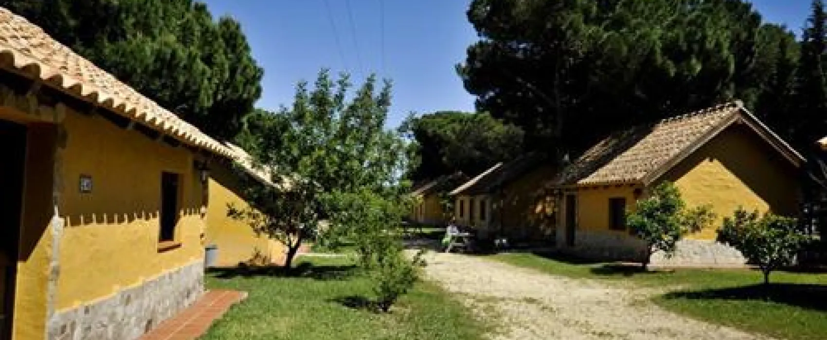 Camping Vejer