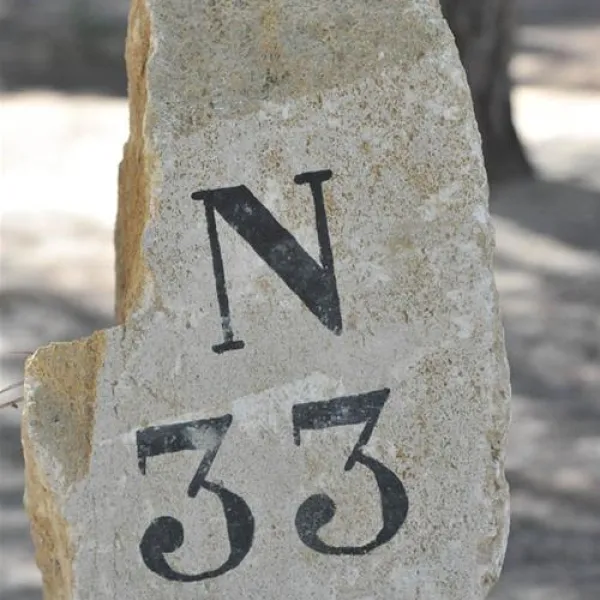 camping-vejer-vejer-de-la-frontera-dnbwx
