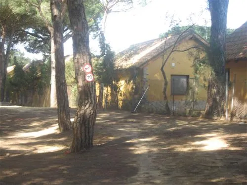 camping-vejer-vejer-de-la-frontera-sw1ct