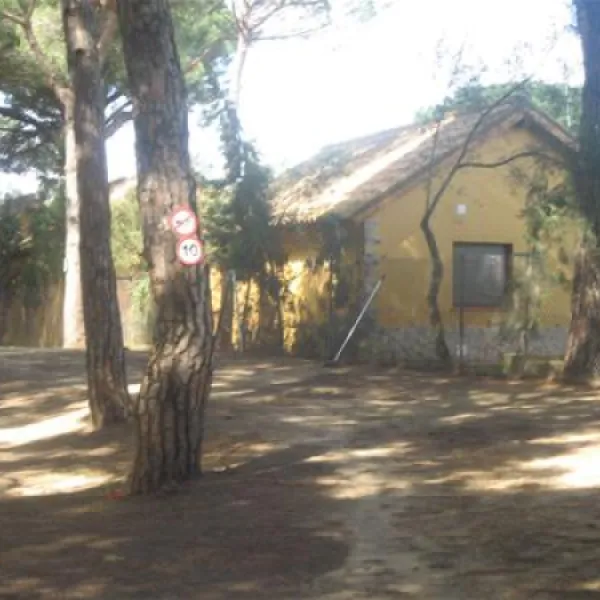 camping-vejer-vejer-de-la-frontera-sw1ct