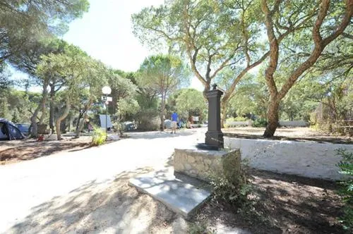 camping-vejer-vejer-de-la-frontera-zi30o