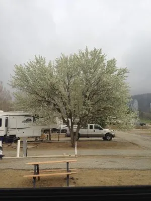 indian-hill-ranch-rv-park-tehachapi-0zzsa
