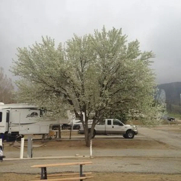 indian-hill-ranch-rv-park-tehachapi-0zzsa