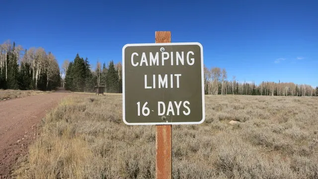 cedar-breaks-dispersed-camping-brian-head-snx3t