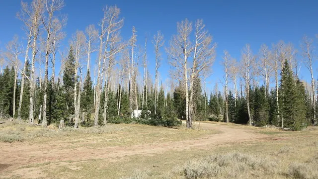 cedar-breaks-dispersed-camping-brian-head-vyiyu