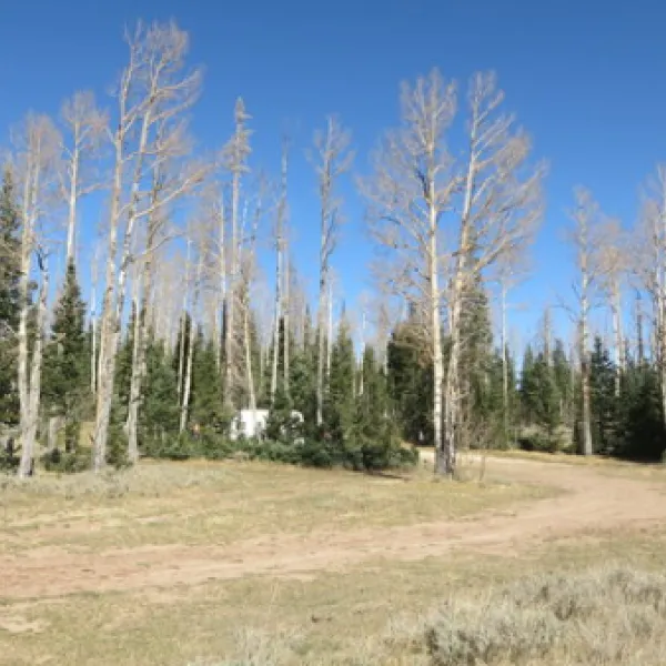 Cedar Breaks Dispersed Camping