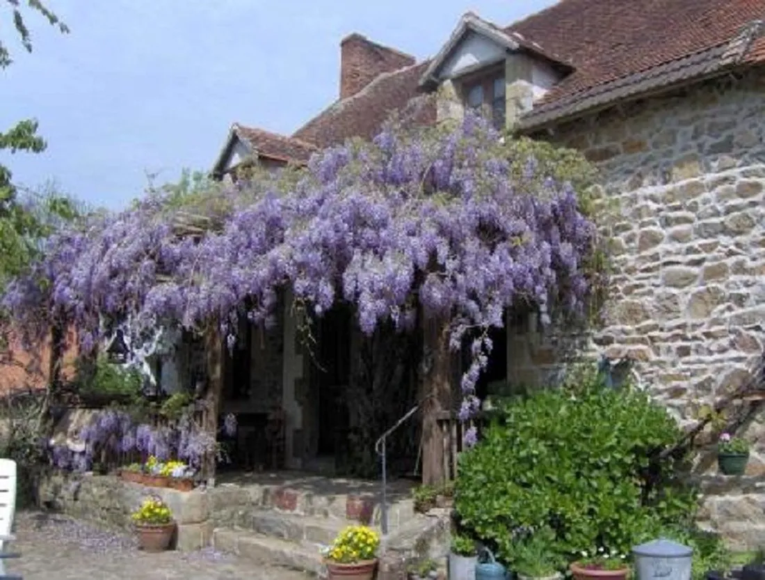 la-charviere-montmarault-orxzz