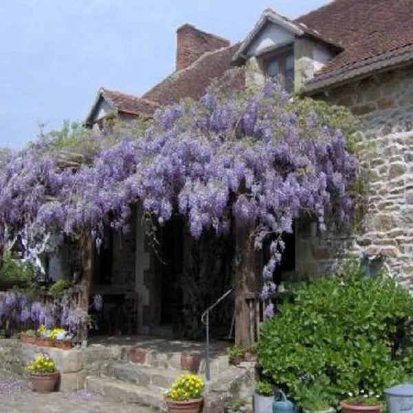 la-charviere-montmarault-orxzz