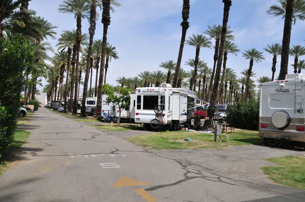 palm-springs-rv-resort-campground-palm-desert-saylq